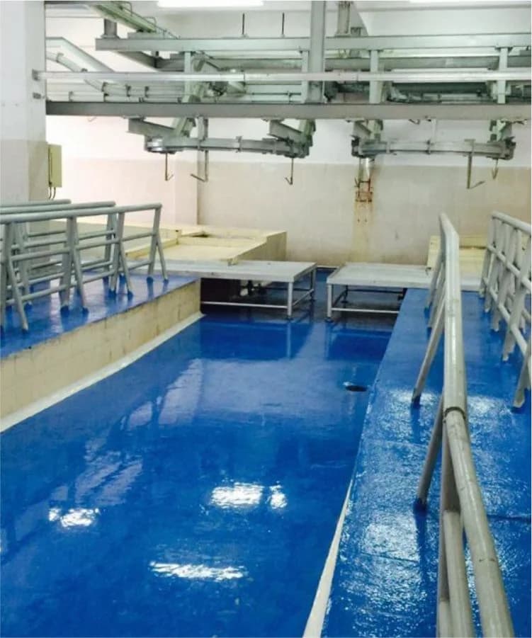 Sheep and Goat processing facility, Anmol Group