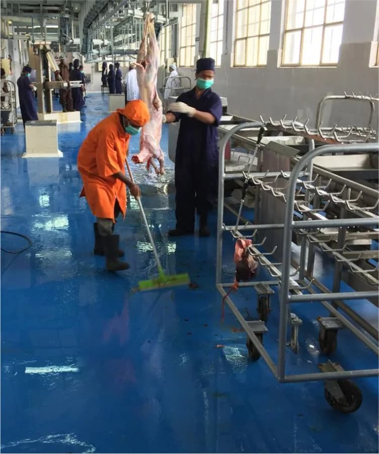Sheep and Goat processing facility, Anmol Group