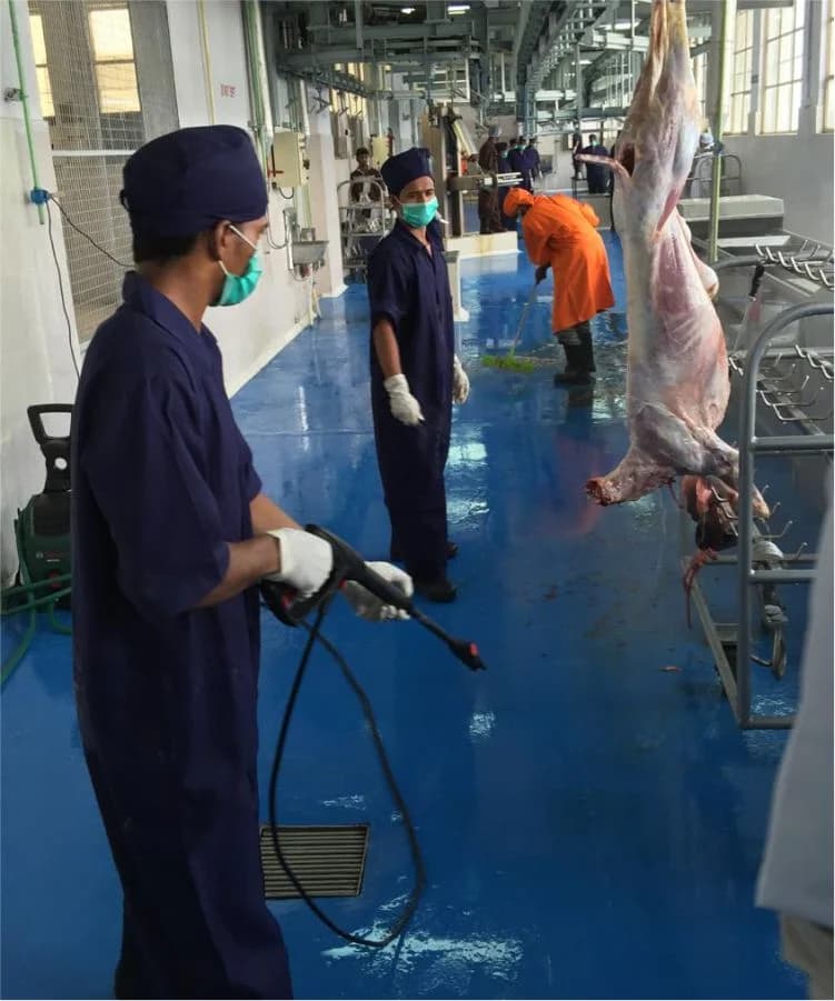 Sheep and Goat processing facility, Anmol Group