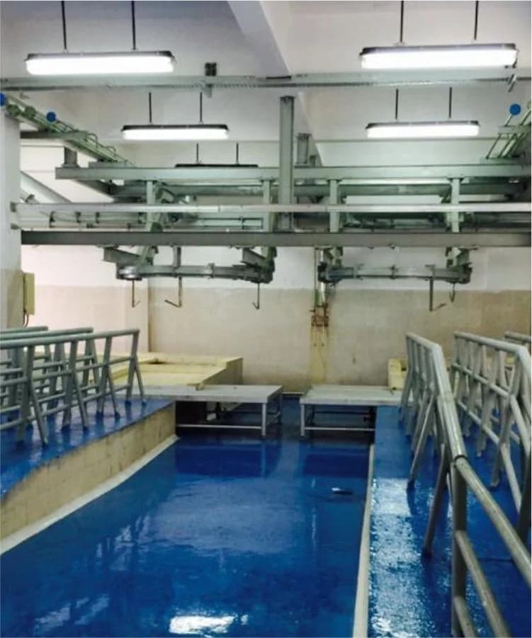 Sheep and Goat processing facility, Anmol Group