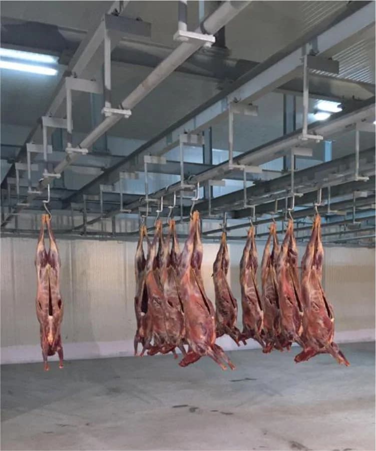 Sheep and Goat processing facility, Anmol Group